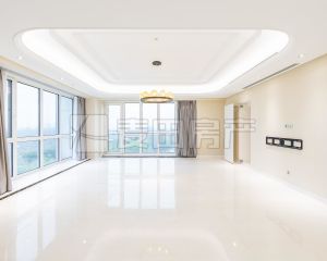 新上 东山公寓 四居室 大平层 诚意出售 2018年楼盘 随