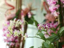 体育中心地铁口全新装修物业 3+12人 已除甲醛放心使用