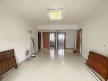 滨浦新苑八村 双卫 小区新 南北通透 大两居 精装可拎包入住