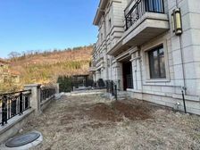 南入户 靠东山 300平院子 三个车位 双拼别墅 奥体中心