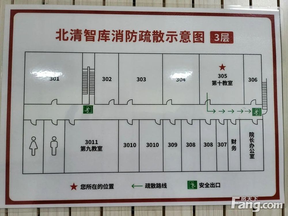 平面图