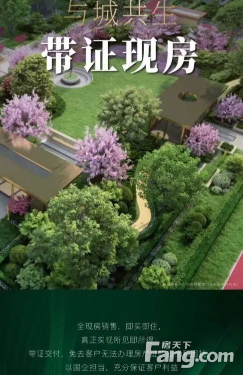 实景图