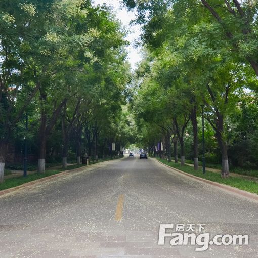  ����ɽ ���� ��װ�������� ��2��1��� ���׳��ⷽ�㿴�� 