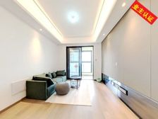 21年次新板房,小区人车分流,地铁口附近