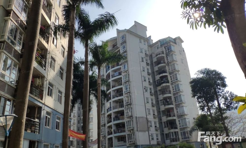 星河丹堤b区顶楼复式,山景如画,深圳龙华区民治星河丹堤二手房 六室