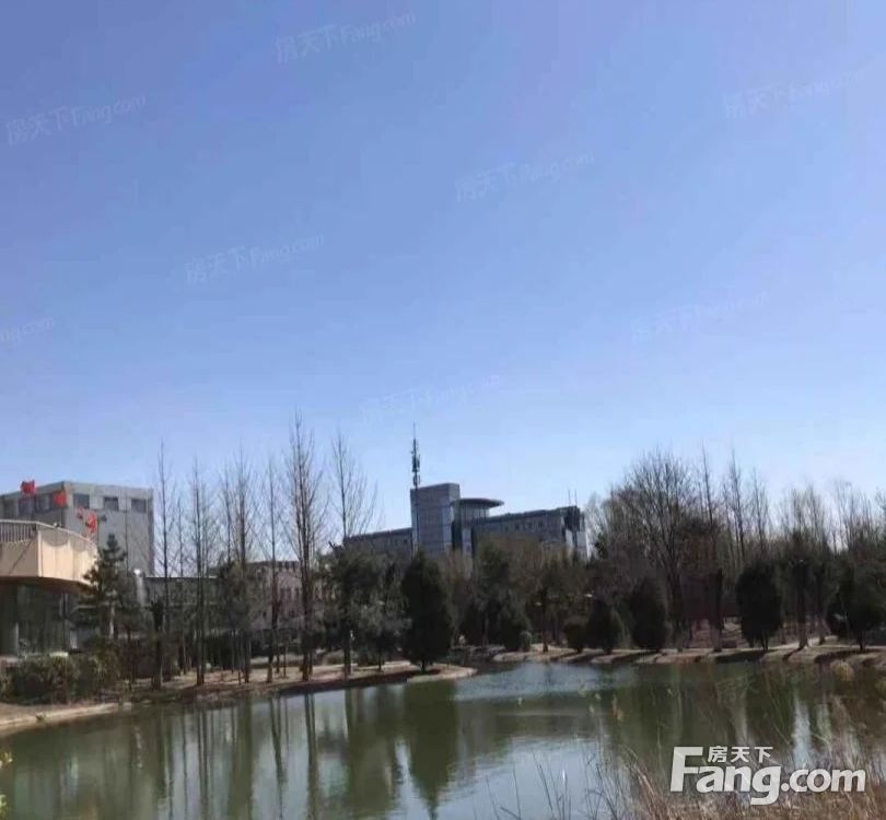 实景图