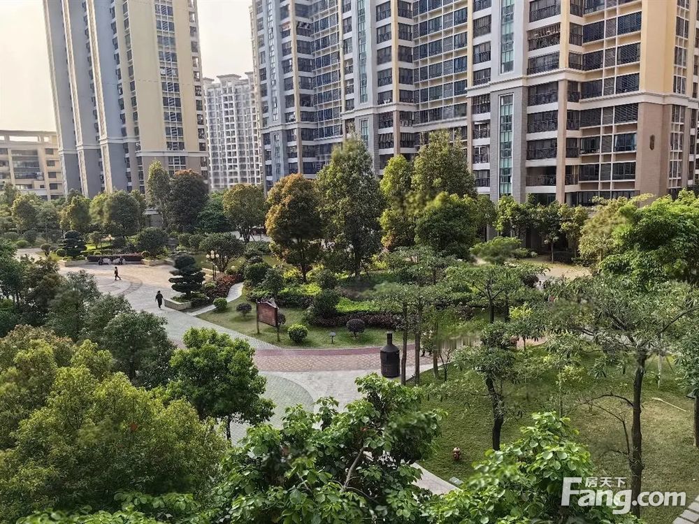 实景图