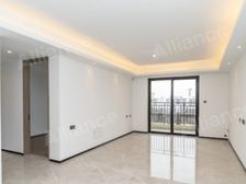 亏本30W急售 中南上悦城 远洋高架 精装一天未住 采光好