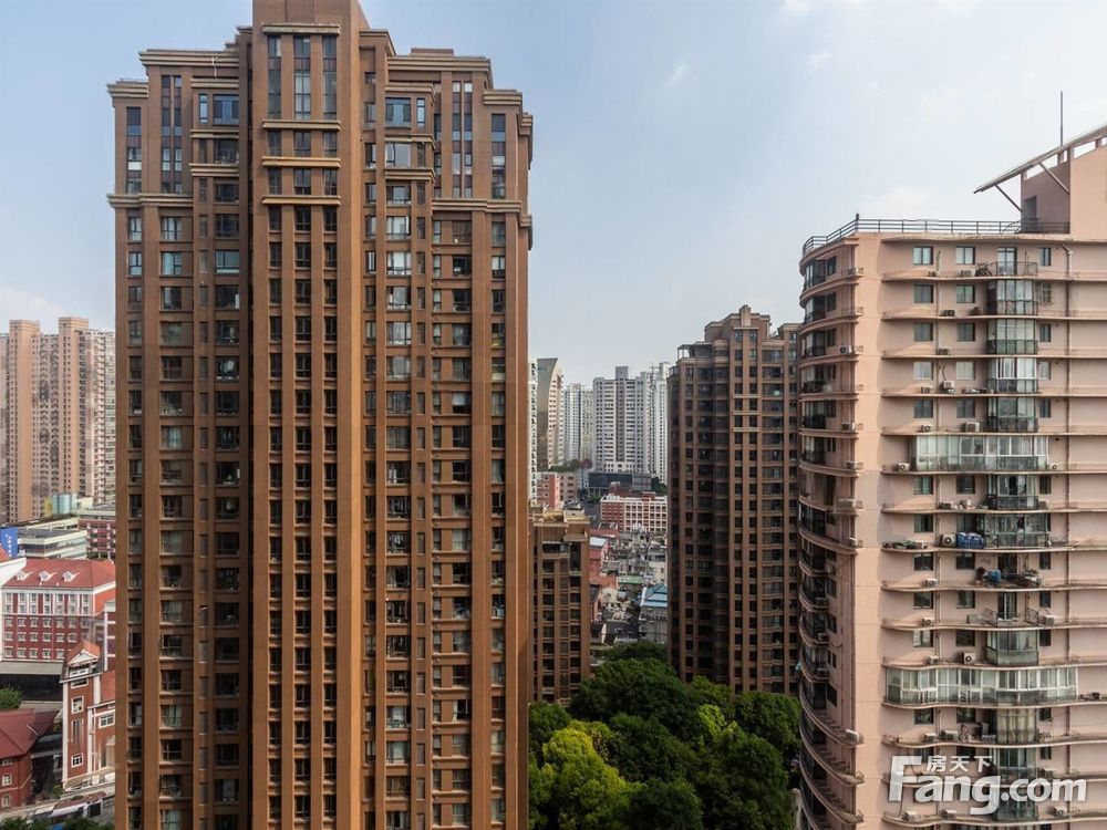 实景图