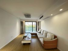 挥泪急抛!变现资产 板式户型 南北通透 附赠产权车位 近地铁