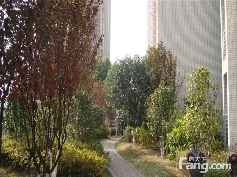 实景图