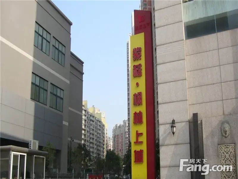 实景图