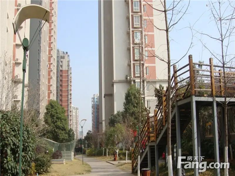 实景图