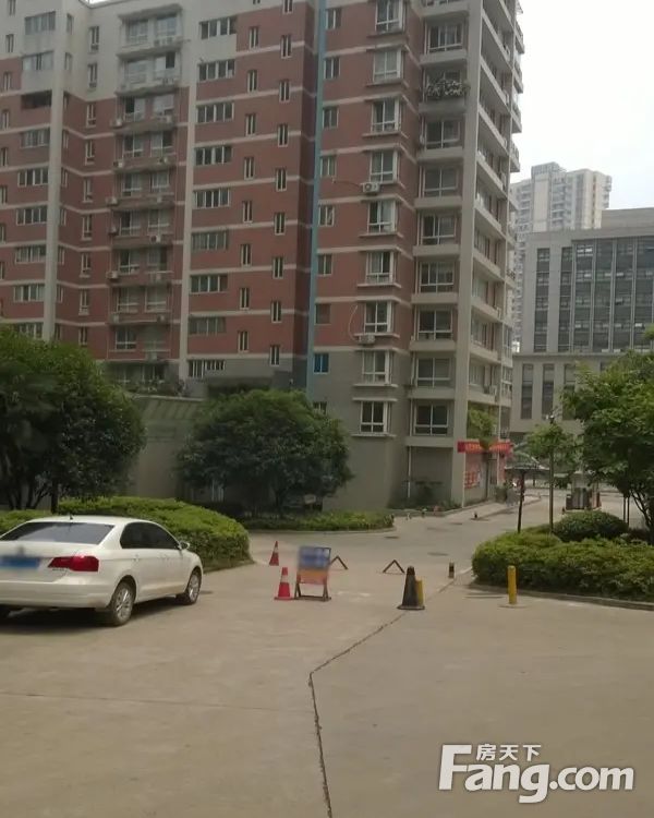 实景图