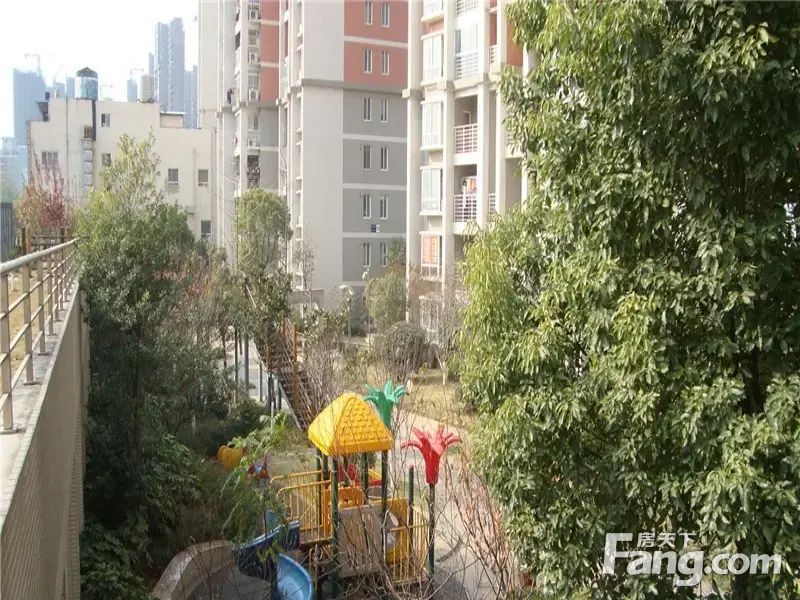 实景图