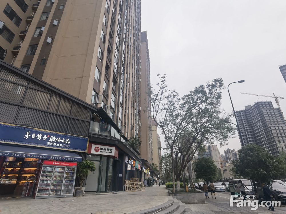 内景图