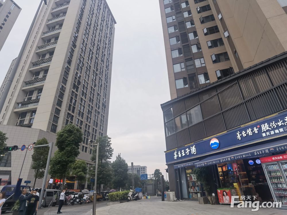 外景图