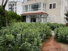 桂花新村稀缺独栋别墅!占地260平大院子,汽车可停四五辆惜售