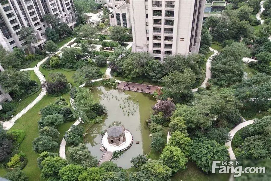 实景图
