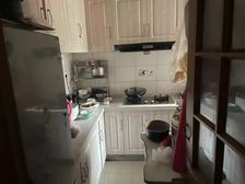 三林世博家园(C区) 南向采光好 有电梯 满五 近地铁三林