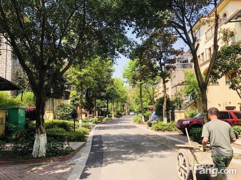 实景图