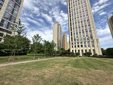 新力洲悦大平层,开发商豪装,南昌十大豪宅之一,极佳楼层