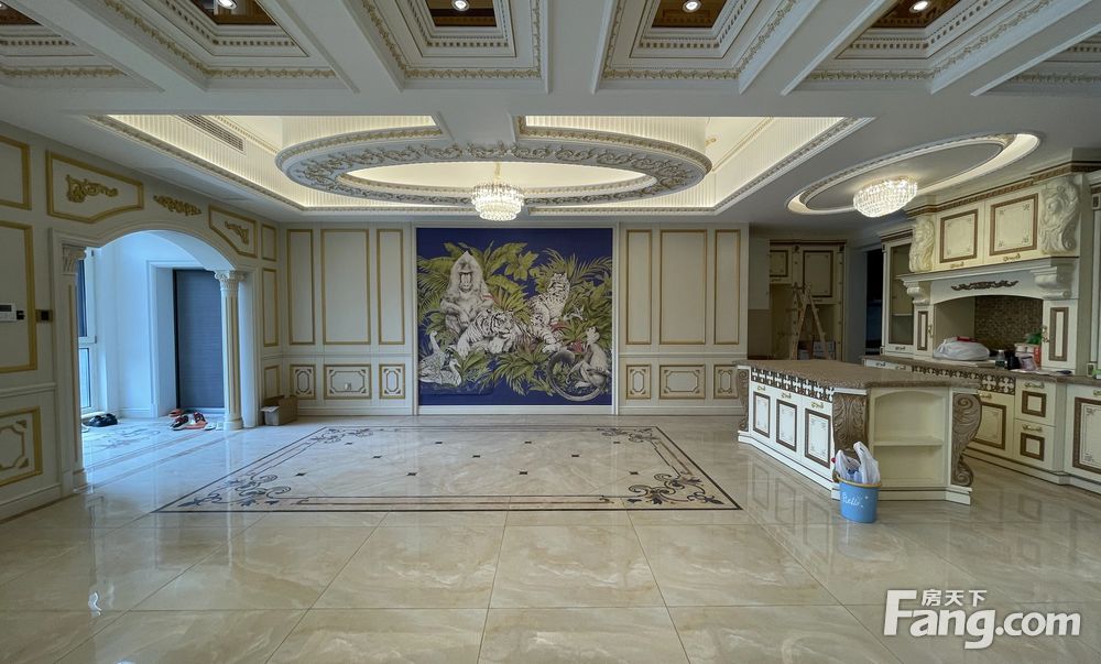 华侨城108坊 复式客厅挑空 豪装全新未住实用400平带车位