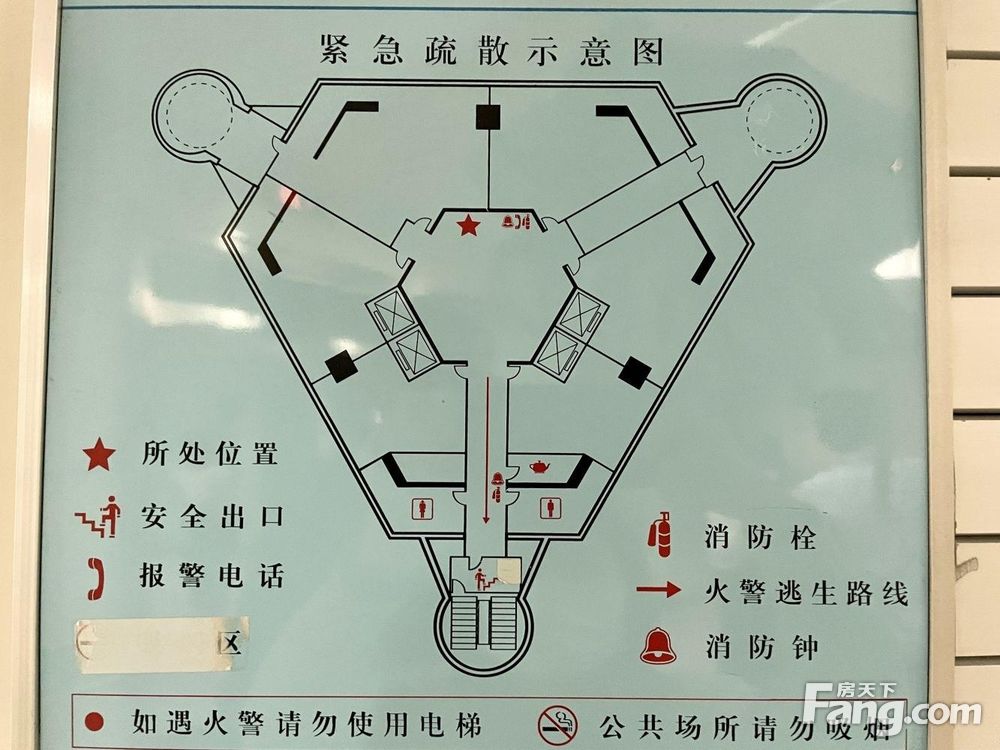 平面图