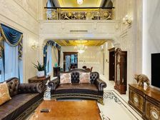 临旅游路 龙奥大厦 类独栋 急售 价格可议 豪华装修 带大院