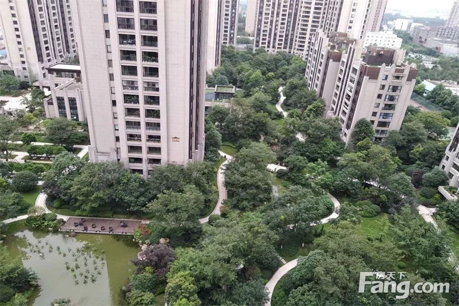 小区相关图