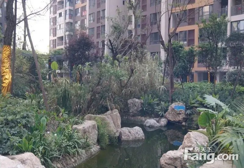 近地铁!电梯套四!中铁塔米亚2/12