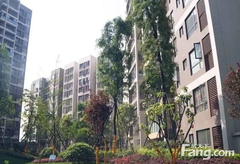 近地铁!电梯套四!中铁塔米亚2/12