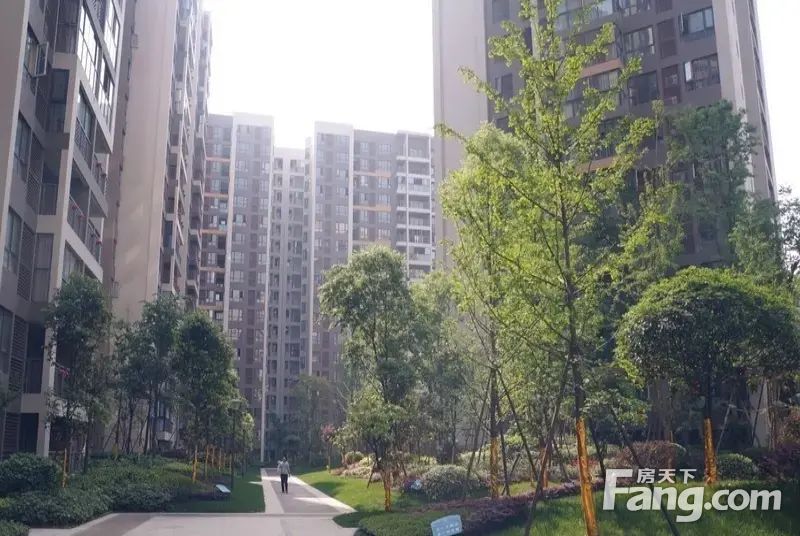 近地铁!电梯套四!中铁塔米亚2/12