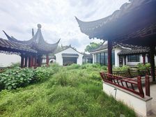 姑苏王府大宅 纯地上一层 占地两亩多 900平花园 5个车位