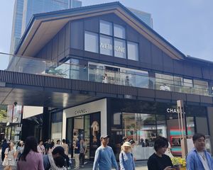 太古里独栋,年收38万,香奈尔旗舰店承租,无抵押,产权清晰。