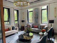 崇明万达旁 实景现房 超大湖居独栋别墅 赠送600平大花园