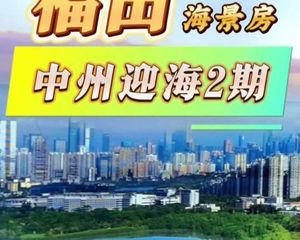 福田CBD新房 中洲湾总价7字头 返10-20w 海景大三房