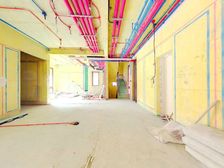 独墅湖畔,次新高品质小区,经典下叠带大花园出售,