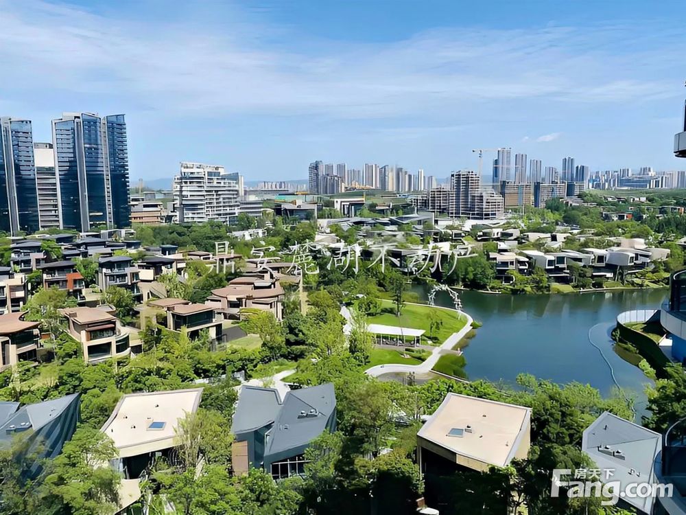 实景图