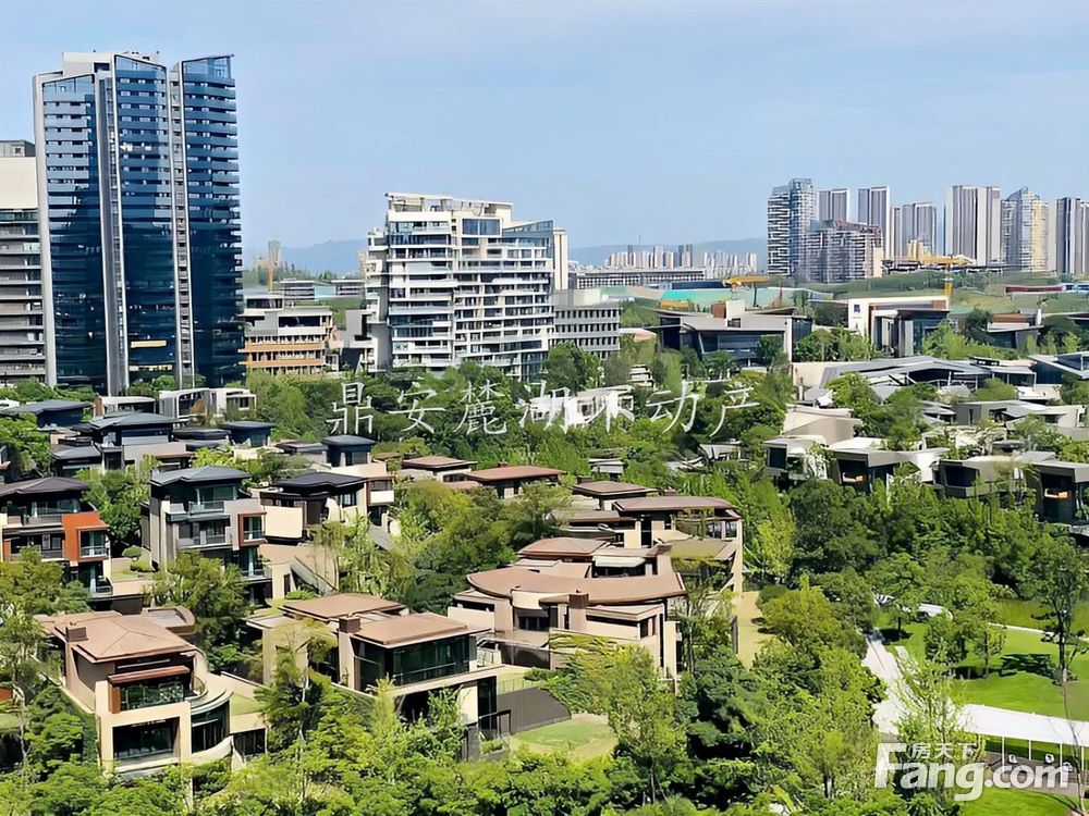 实景图