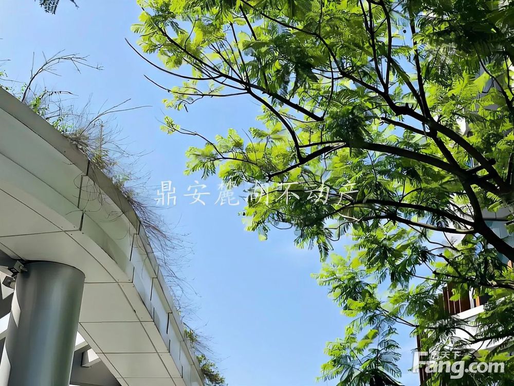 实景图