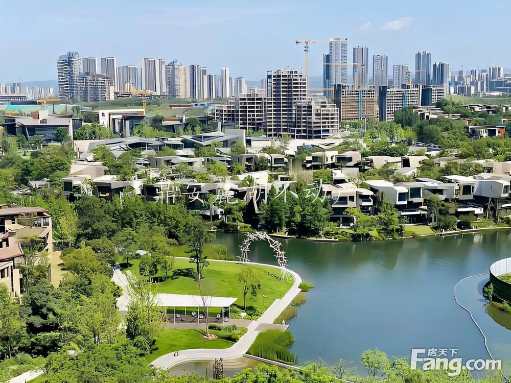 实景图