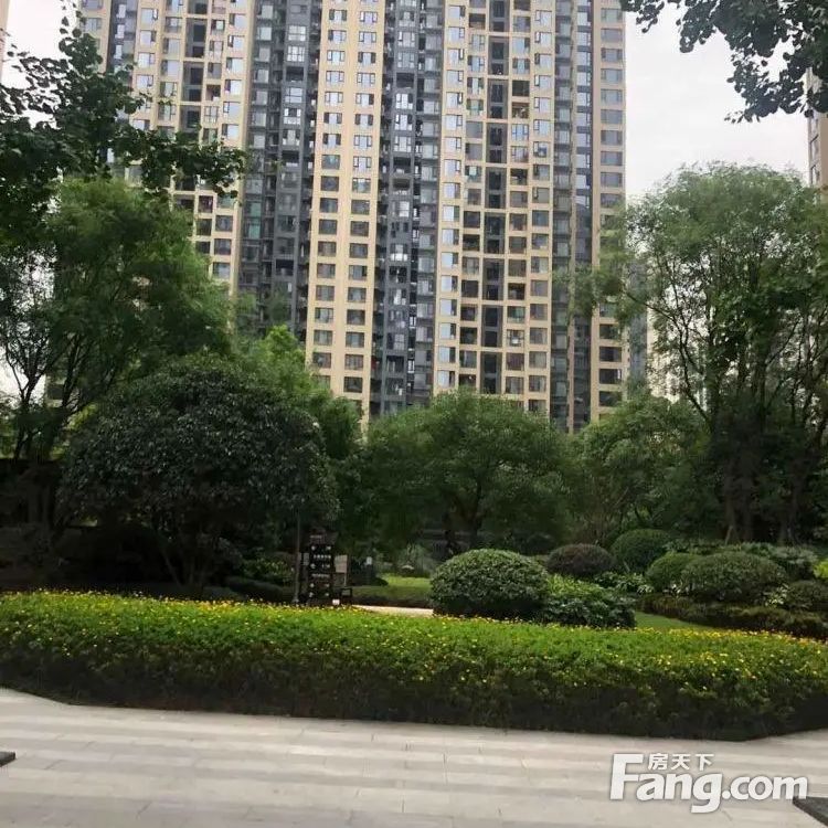 实景图
