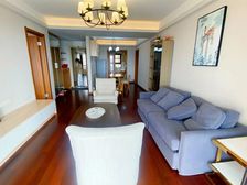 新出,飞机带翅膀,洋房户型,房间大,阳光好,房东好说话