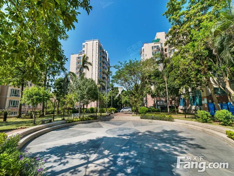 罗湖中心 超稀缺户型 11层电梯小高层,深圳罗湖布心心怡花园二手房