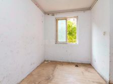 曹路 临地铁 南向采光好 精装可拎包入住 满二 大两房