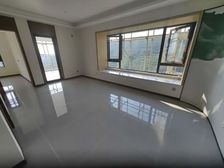 告庄旁正规一房一厅 带大露台可改2房 2万就能拥有