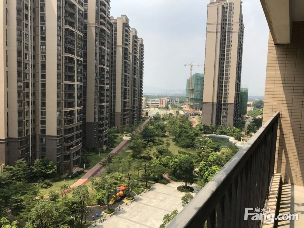 实景图