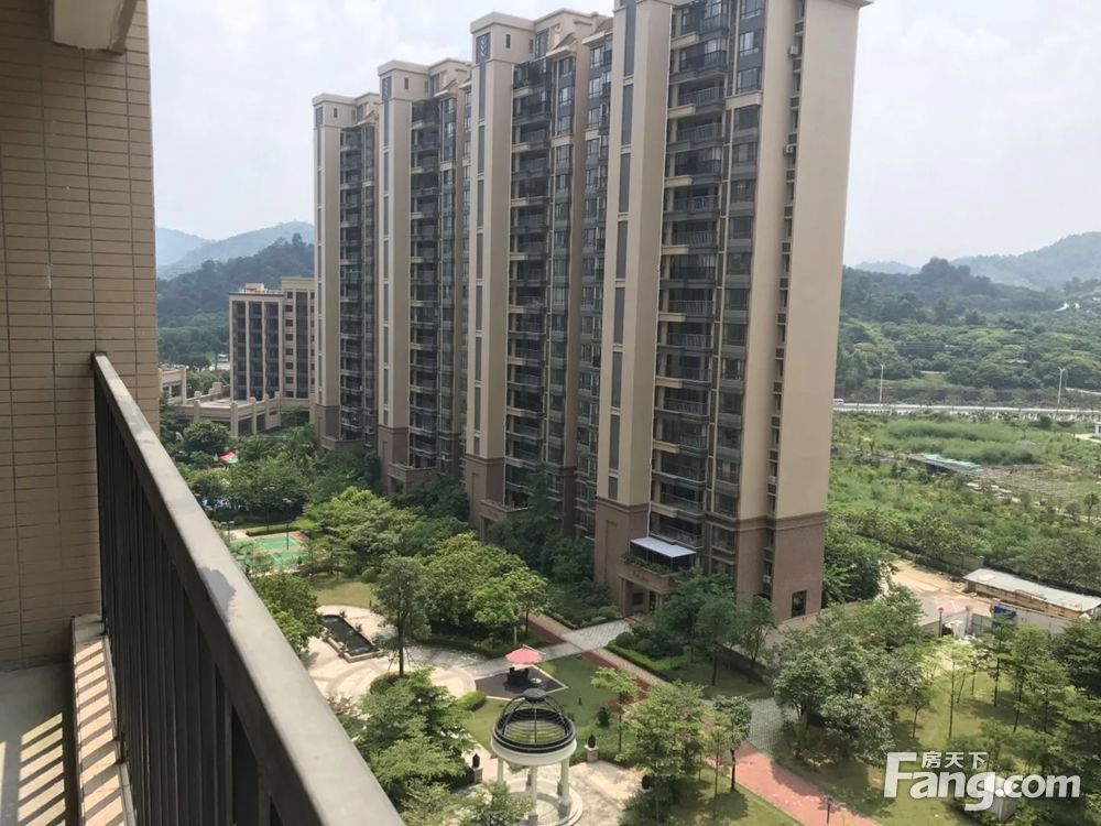 实景图