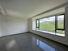 安纳西小镇 中间楼层 精装可拎包入住 板楼 南向采光好告庄